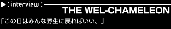 THE WEL-CHAMELEON