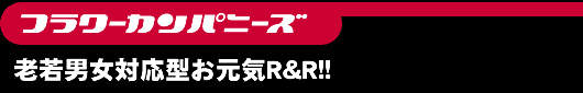 フラワーカンパニーズ老若男女対応型お元気R&R!!