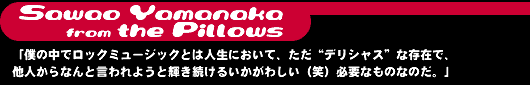 The pillows